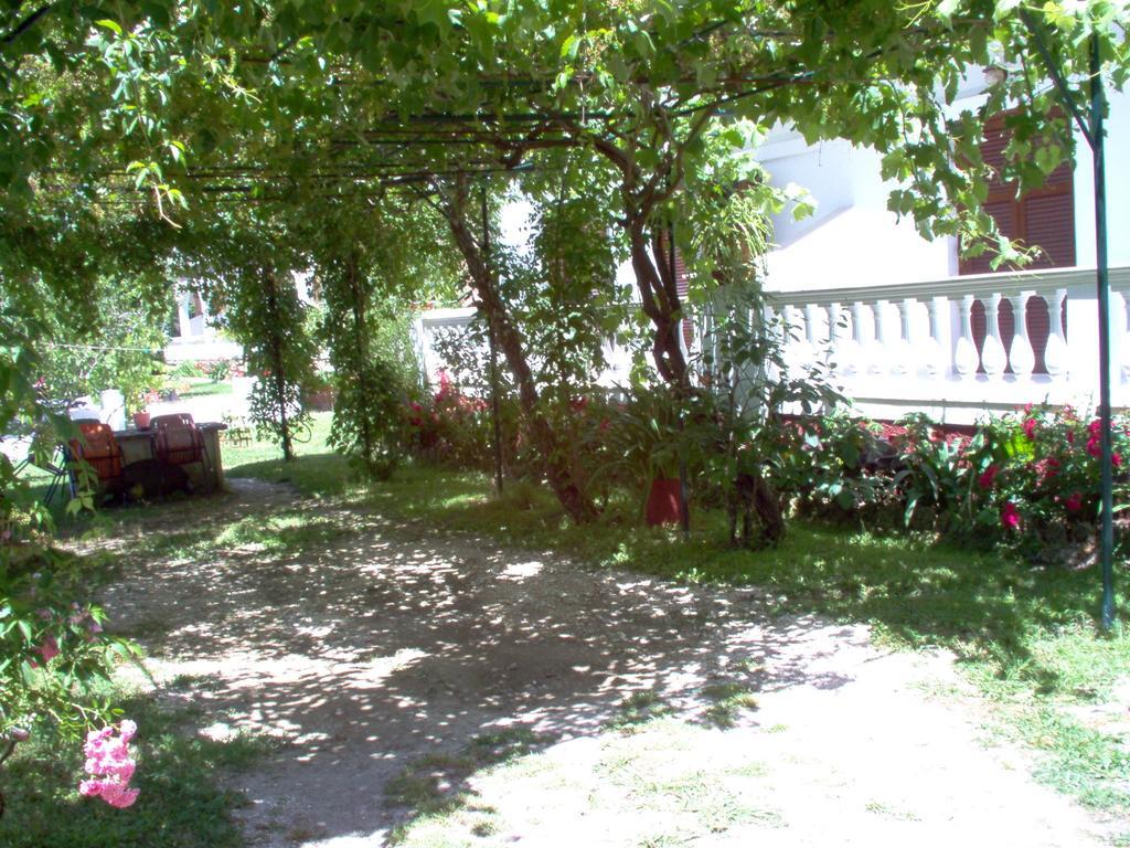 Alexandros Studios Μεσογγή Δωμάτιο φωτογραφία